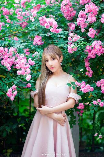 大地资源网中文第二页的在线观看