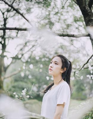 偷偷在线观看免费高清电视剧