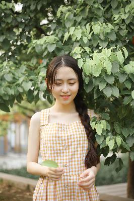 共享女儿的桃花源的寓意和象征